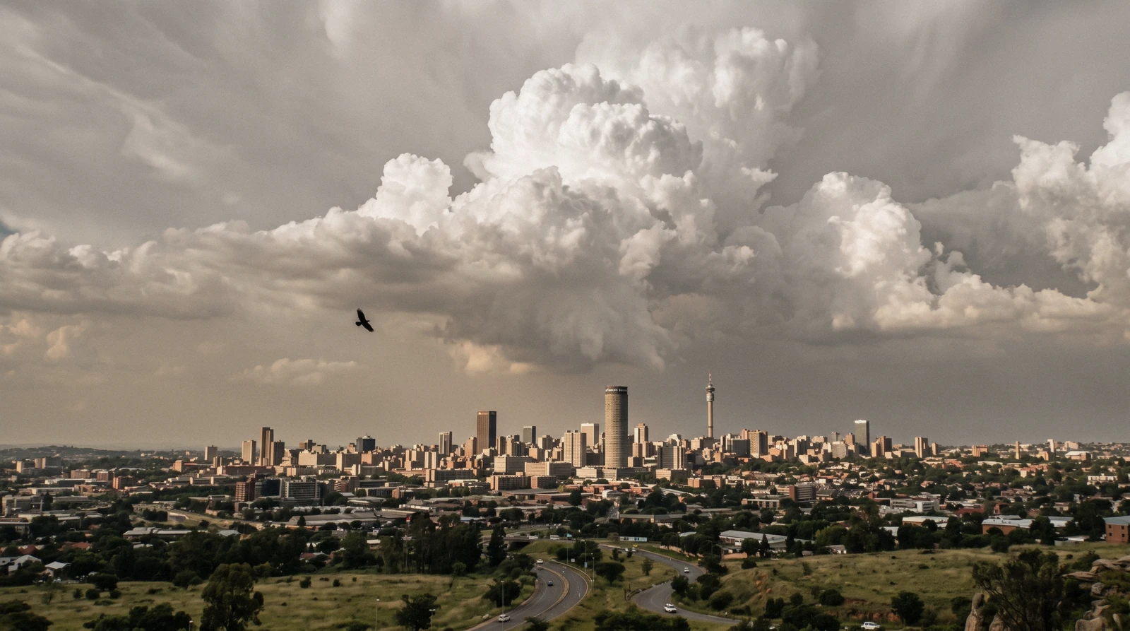 A highveld thunderstorm building over the Johannesburg skyline in late-afternoon light